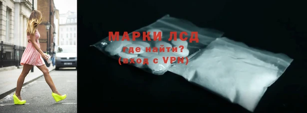 стаф Осинники