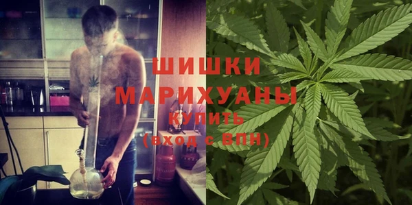 стаф Осинники